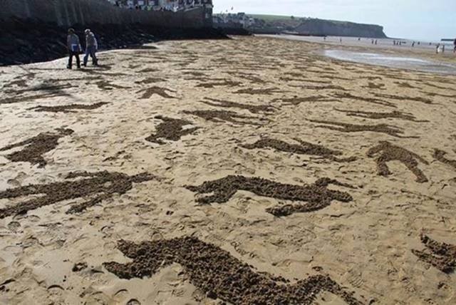 A Memorial Day Tribute to the Fallen US Soldiers at Normandy Beach